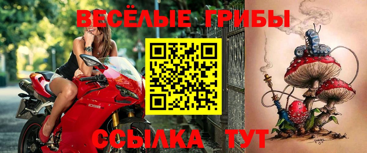 Соликамск  Псилоцибиновые грибы прущие грибы  Вход с VPN 